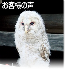 「お客様の声」のイメージ
